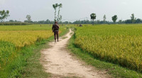 BSF picks up 2 Bangladeshis, in response locals capture 2 Indians